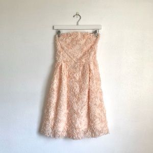 Zara Pale Pink Floral Rosette Strapless Dress Size Medium Balletcore Feminine
